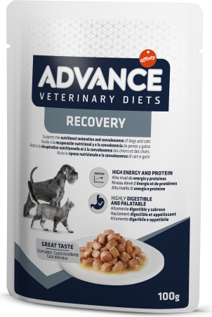 advance dog treats