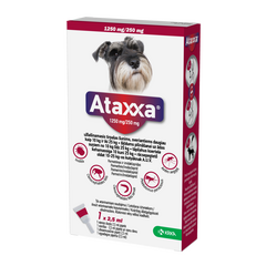 ATAXXA 1250/250MG ŠĶĪD 2.5ML SUŅIEM 10-25KG N1