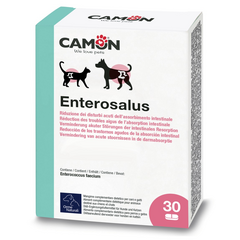 CAMON Enterosalus tabletes - pie gremošanas un caurējas problēmam (30 tabletes).