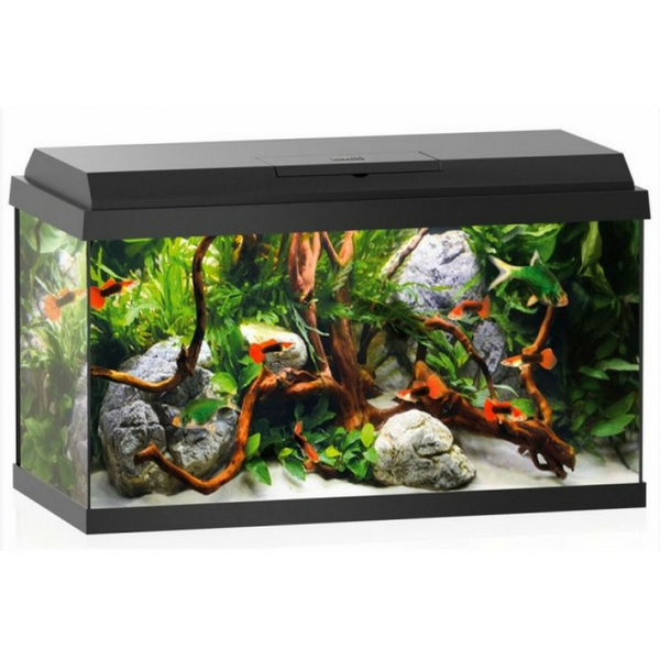 Juwel Primo 60 LED Black 57L - укомплектованный аквариум