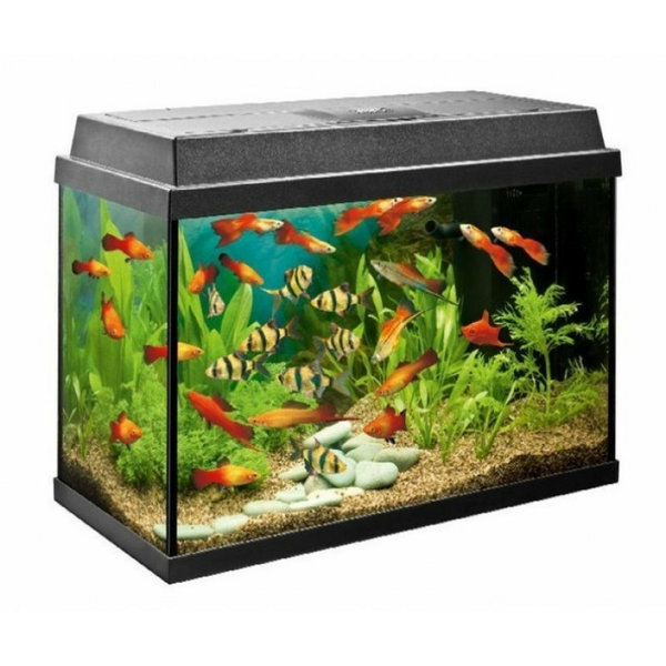 Juwel Primo 70 LED Black 70L - nokomplektēts akvārijs