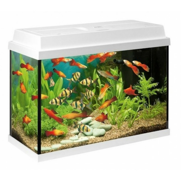 Juwel Primo 70 LED White 70L - nokomplektēts akvārijs