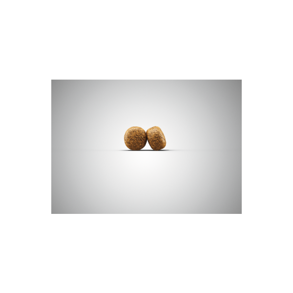 Josera Balance 5x900g - Visu šķirņu vecaķiem suņiem (mājpunts un rīsi), 3 image