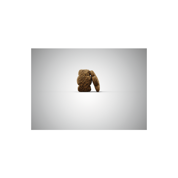 Josera Kids 5x900g - Vidējo un lielo šķirņu kucēniem (ar mājputnu gaļu un kukurūzu), 3 image