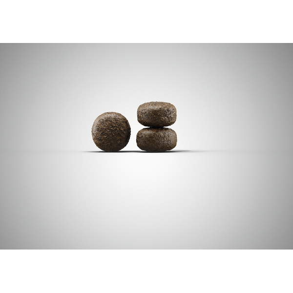 Josera Light & Vital 5x900g - Visu šķirņu suņiem (mājputns un rīsi), 3 image