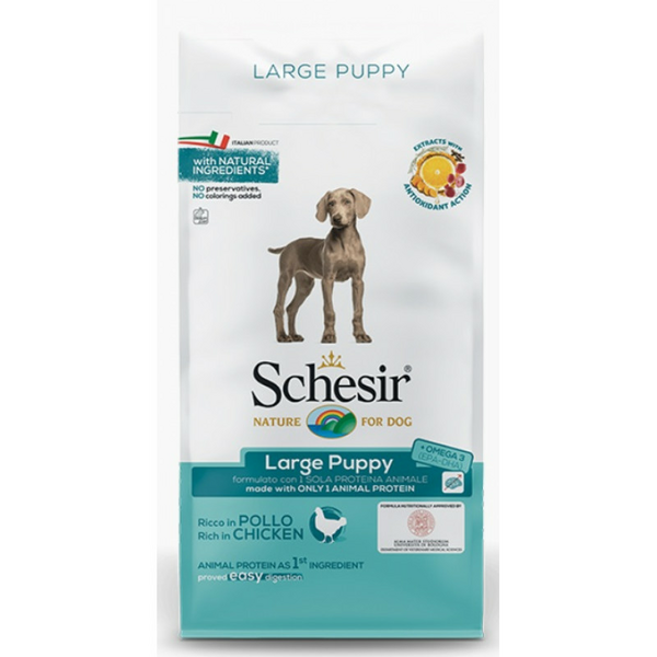 SCHESIR Large Puppy 12kg - sausā barība ar vistu lielo šķirņu kucēniem, grūsnām un laktējošām kucēm