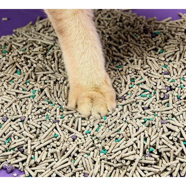 BelCat Tofu Clumping Cat Litter Carbon Active 6L - dabīgi granulēti kaķu pakaiši ar aktivēto ogli, 2 image