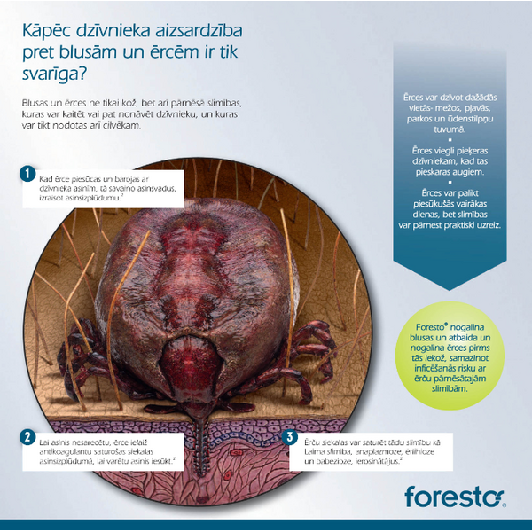 Ошейник Foresto 70cm для собак больше 8кг против блох, клещей 4.50+2.03G/G, изображение 4