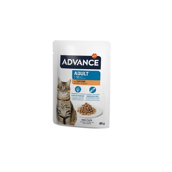 Adv cat WET adult chicken 85гр — полноценный, сбалансированный, высококачественный влажный корм для взрослых кошек в возрасте от 1 до 10 лет. С курицей.