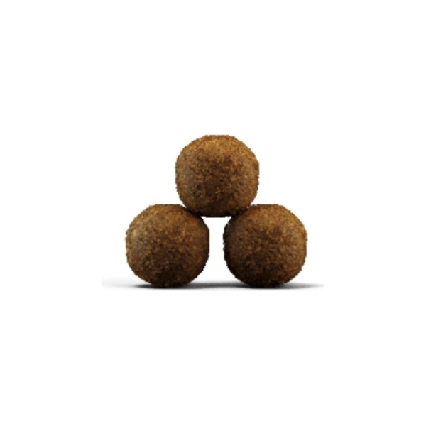 Josera Petfood Josera SP kaķiem Kitten grainfree 2 kg, изображение 3