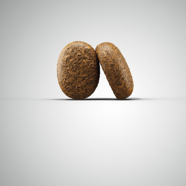 Josera Petfood Josera SP suņiem Optiness 12.5 kg, изображение 2