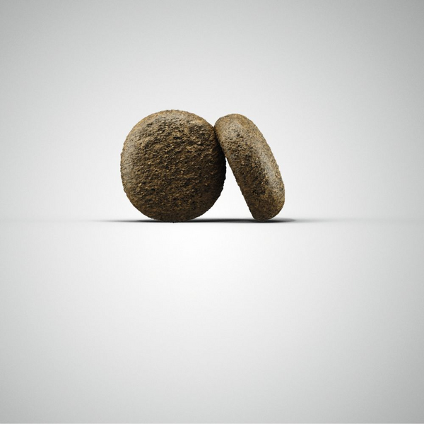 Josera Petfood Josera SP suņiem Salmon&Potato (Lachs&Kartoffel) 12.5 kg, изображение 2