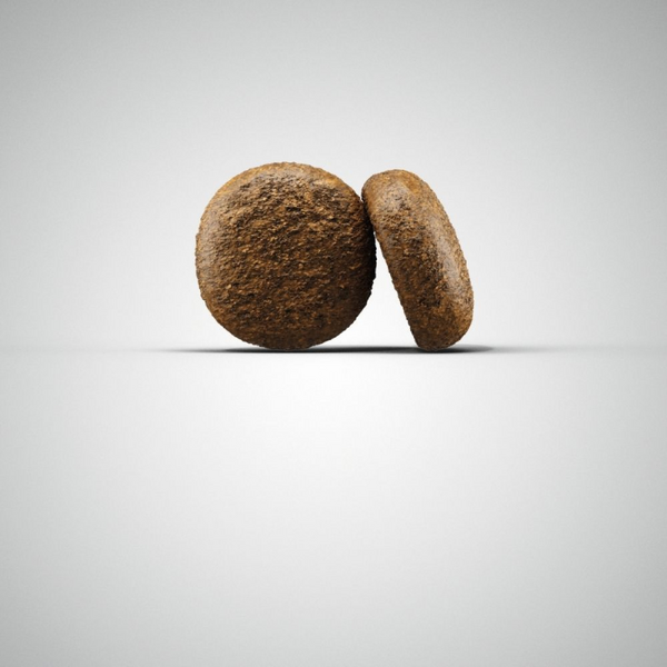 Josera Petfood Josera SP suņiem Active Nature 12.5 kg, изображение 2