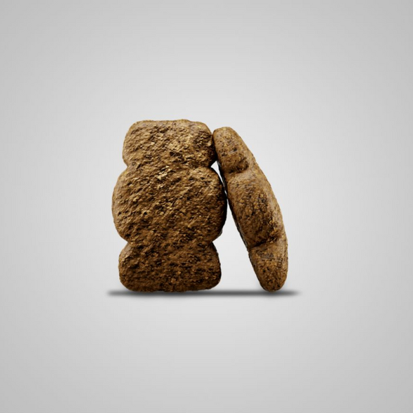 Josera Petfood Josera SP suņiem Kids 12.5 kg, изображение 2