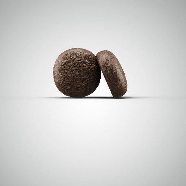 Josera Petfood Josera SP suņiem Duck&Potato (Ente&Kartoffel) 12.5 kg, 2 image