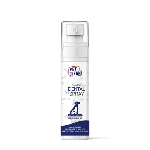 DENTAL SPRAY 100ml