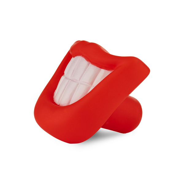 Barry King rotaļlieta suņiem, lūpas, vinils, 9 cm