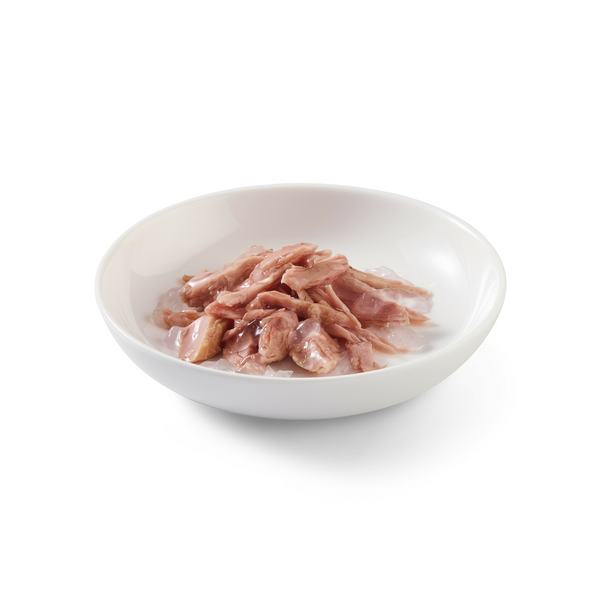 Schesir Cat Tuna In Jelly 70g - Tuncis želejā, 2 image