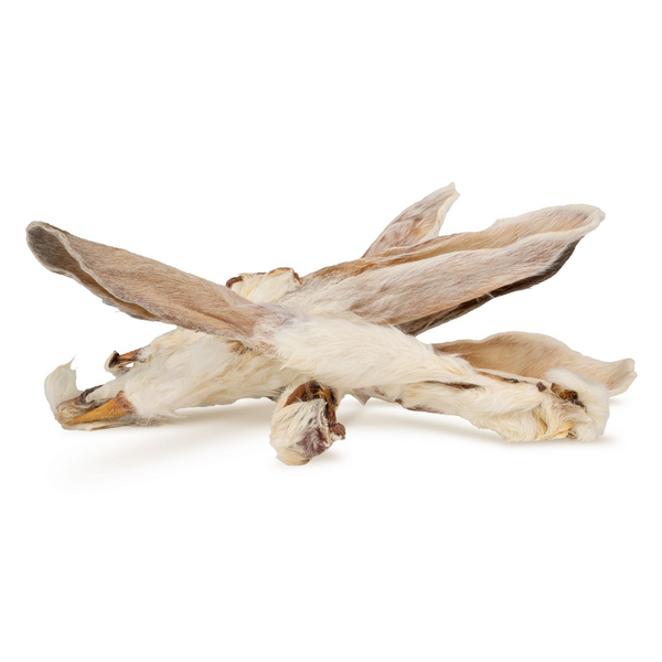 HAU & MIAU dog treat, rabbit ear with fur, approx. 20–25 cm, 1 kg - papildbarība suņiem, kaltētas truša ausis ar spalvu.